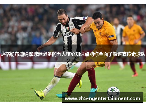 萨格勒布迪纳摩球迷必备的五大核心知识点助你全面了解这支传奇球队