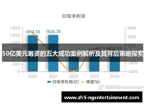 50亿美元筹资的五大成功案例解析及其背后策略探索