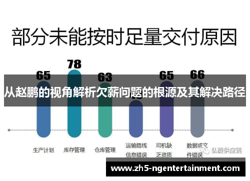从赵鹏的视角解析欠薪问题的根源及其解决路径