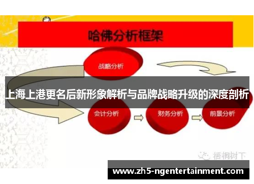 上海上港更名后新形象解析与品牌战略升级的深度剖析