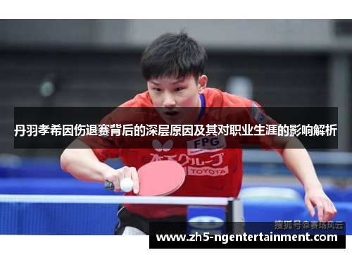 丹羽孝希因伤退赛背后的深层原因及其对职业生涯的影响解析