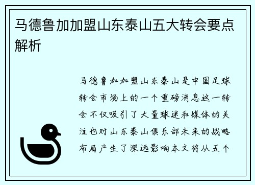 马德鲁加加盟山东泰山五大转会要点解析