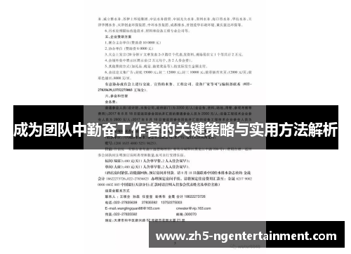成为团队中勤奋工作者的关键策略与实用方法解析